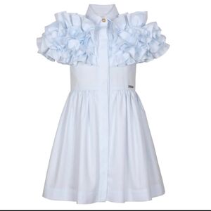 Blush And Cream Ruffle Sleeve Dress